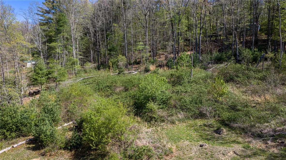 Image number 5 for the current listing