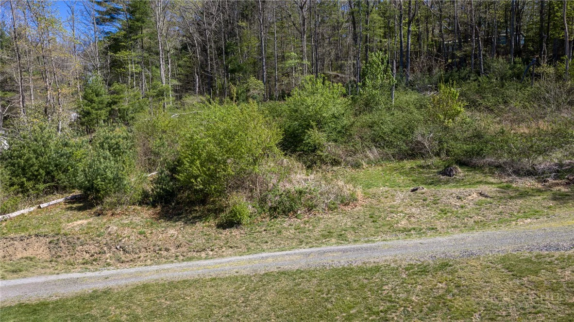 Image number 4 for the current listing