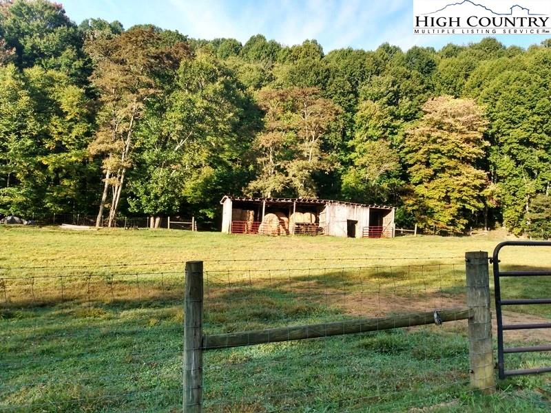 Image number 4 for the current listing