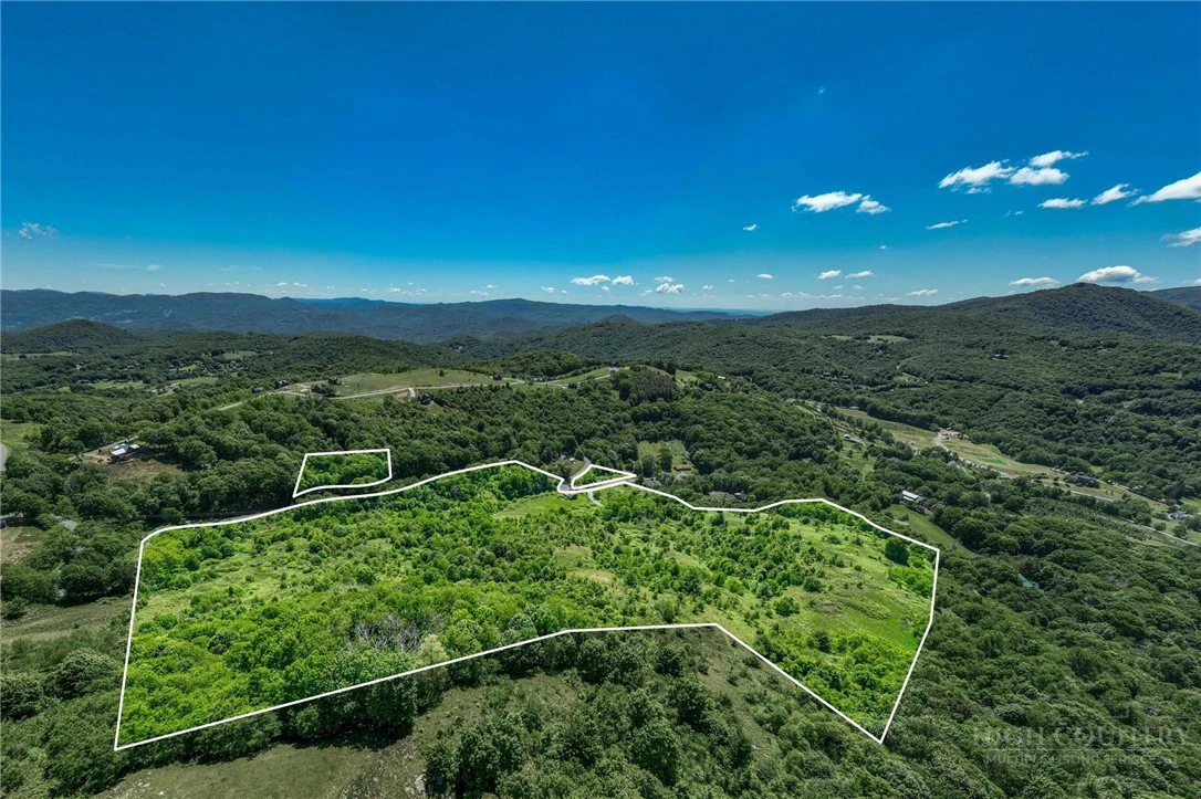 Image number 1 for the current listing