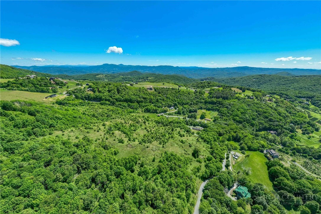 Image number 4 for the current listing