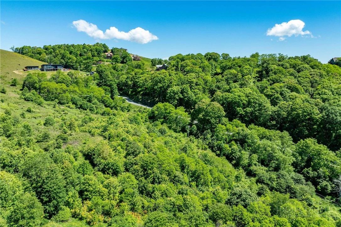 Image number 12 for the current listing