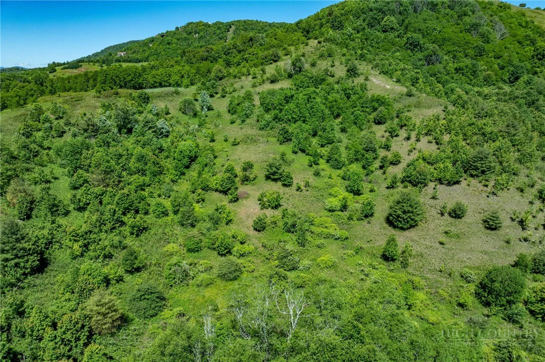 Image number 16 for the current listing