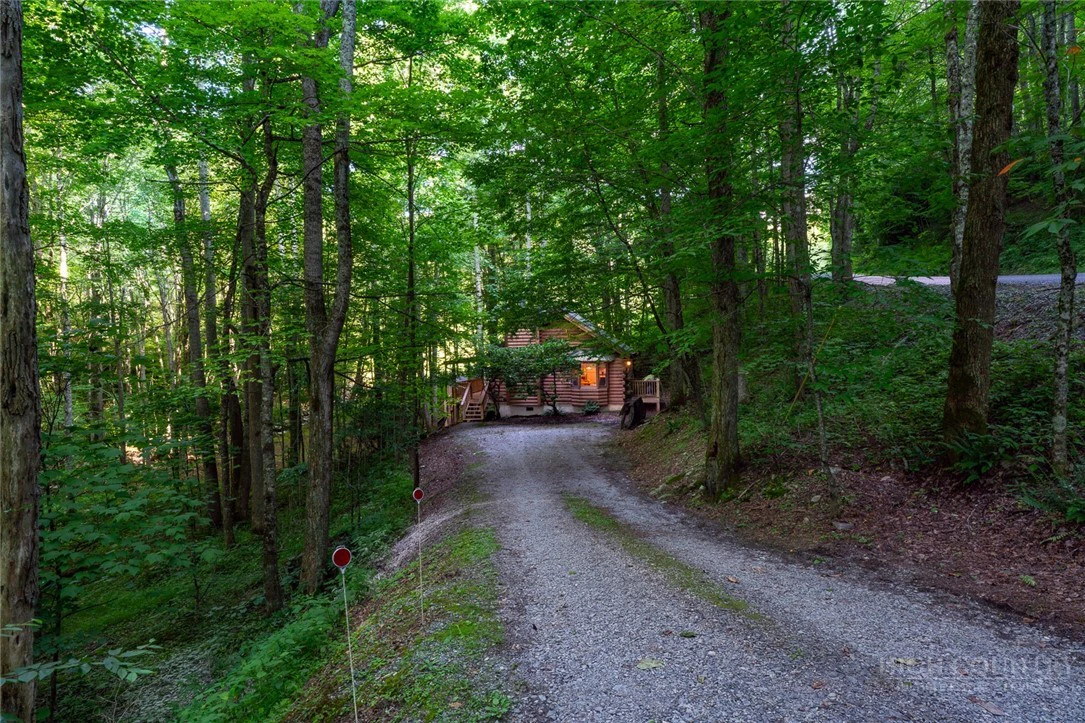 Image number 4 for the current listing