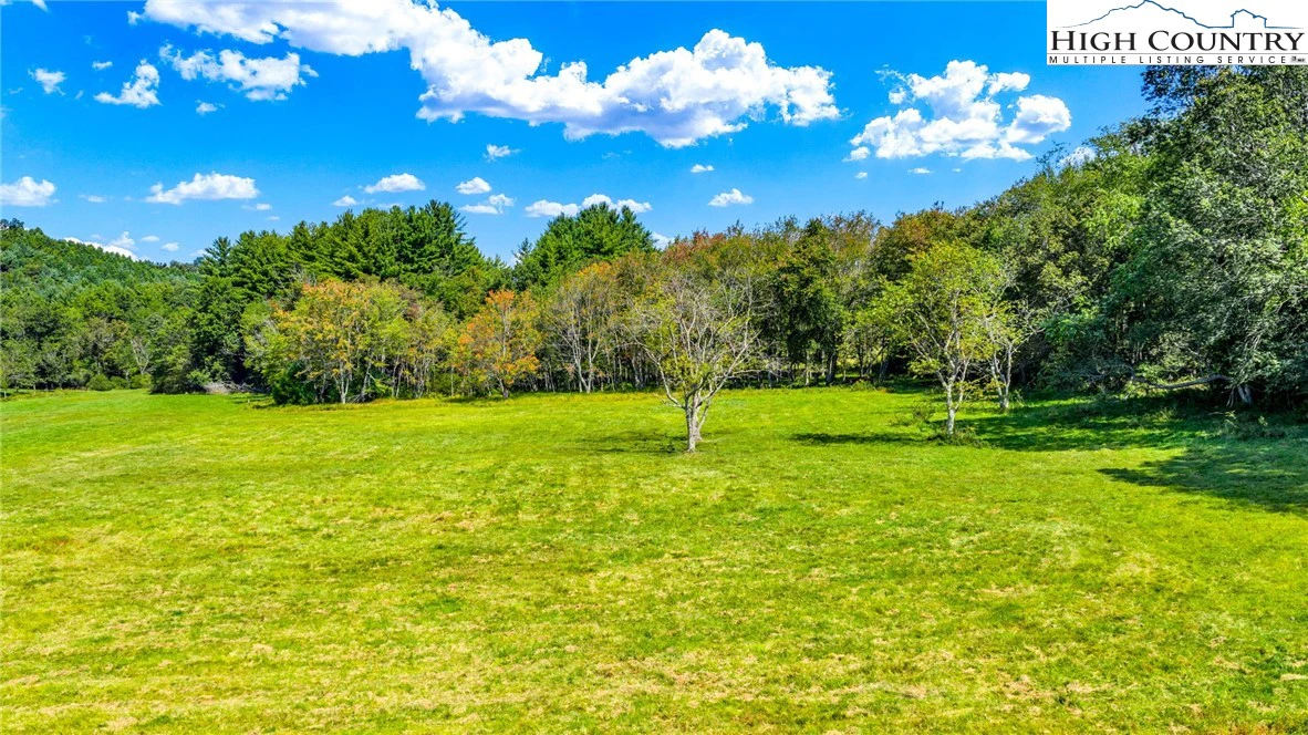 Image number 15 for the current listing