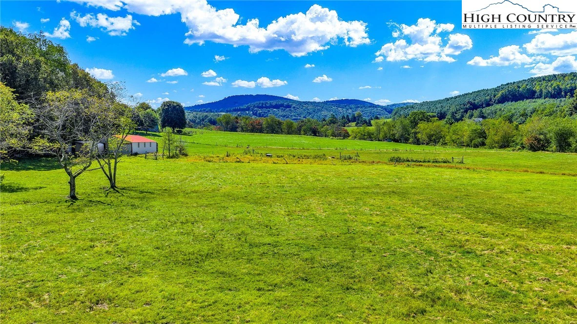 Image number 14 for the current listing