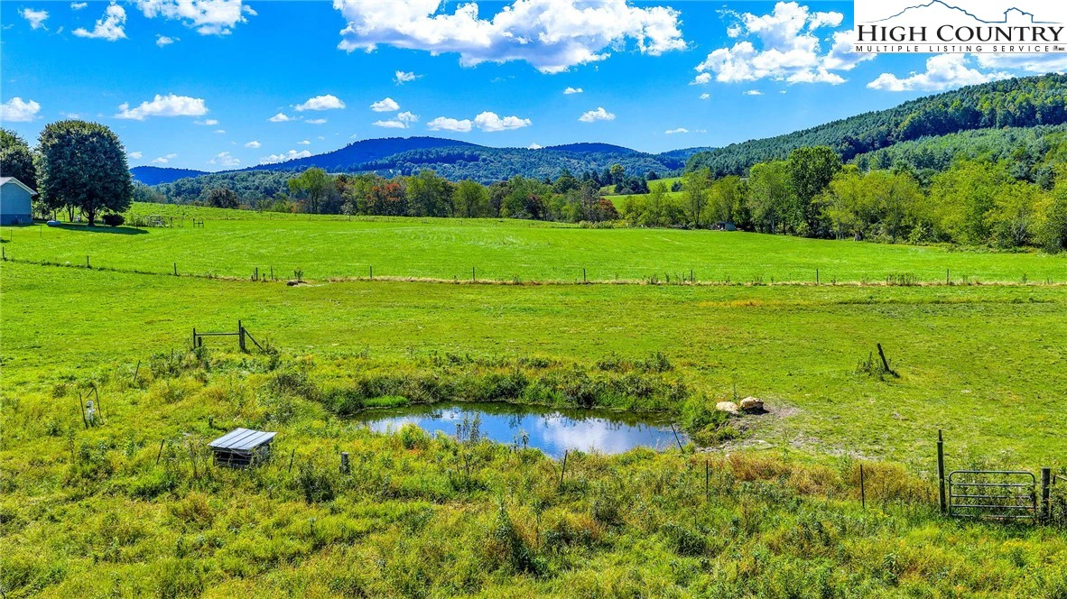 Image number 11 for the current listing