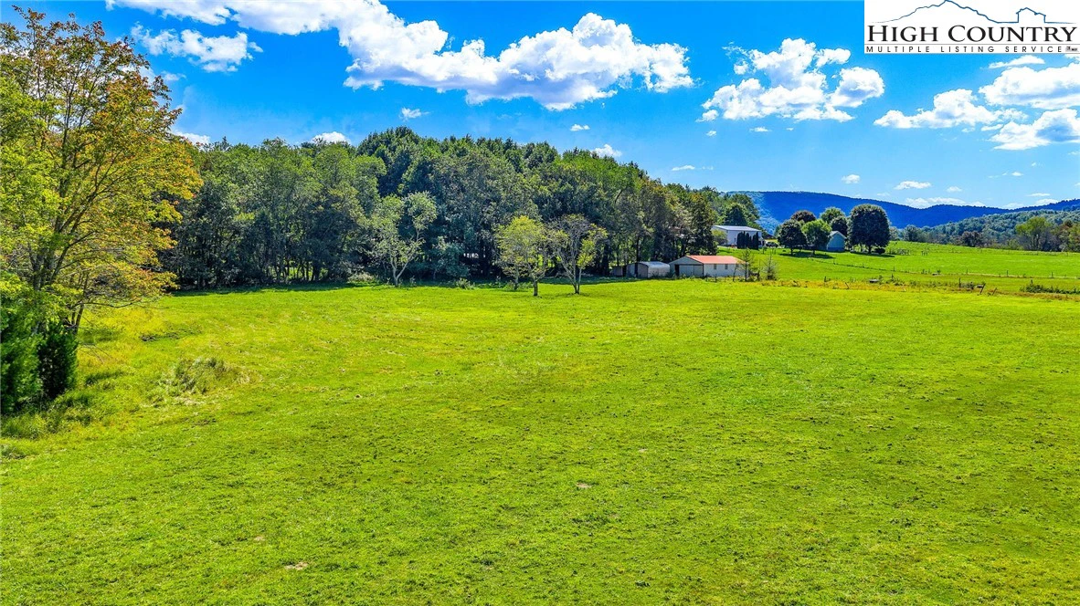 Image number 10 for the current listing