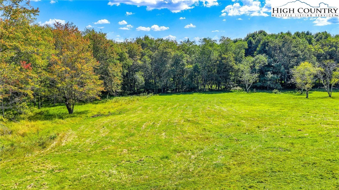 Image number 7 for the current listing