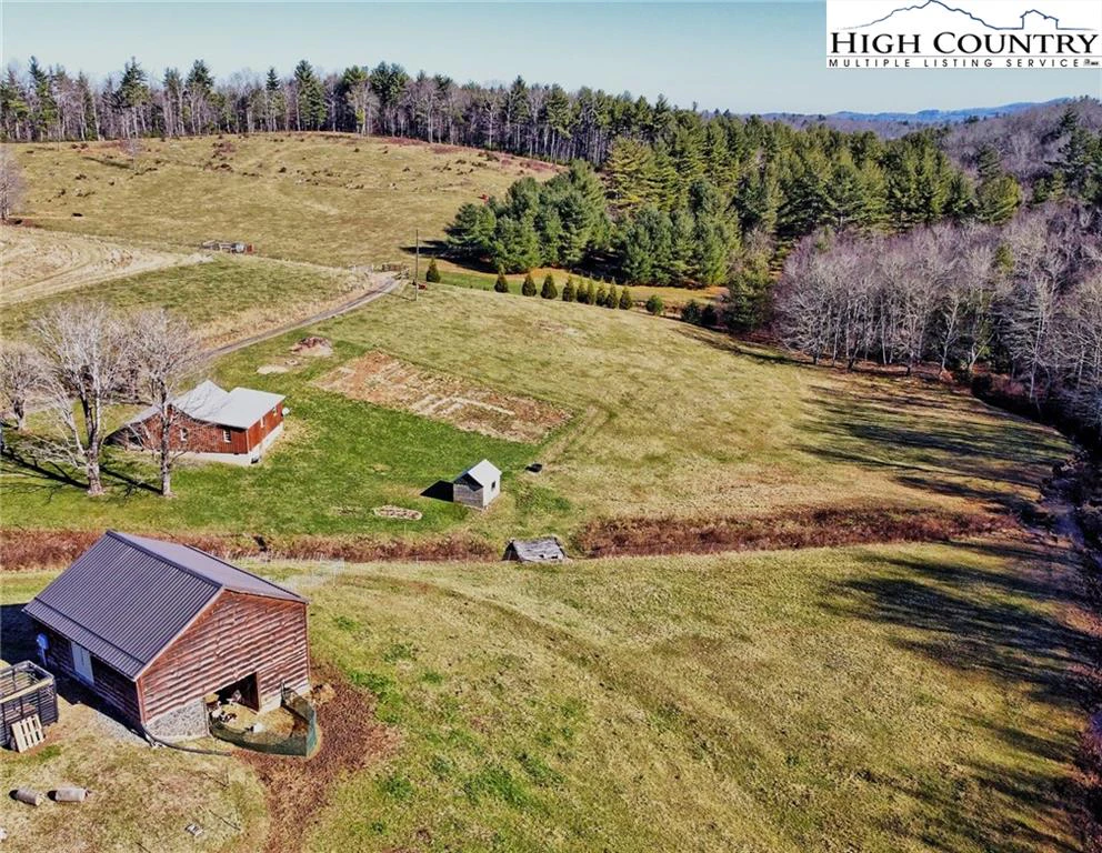 Image number 12 for the current listing