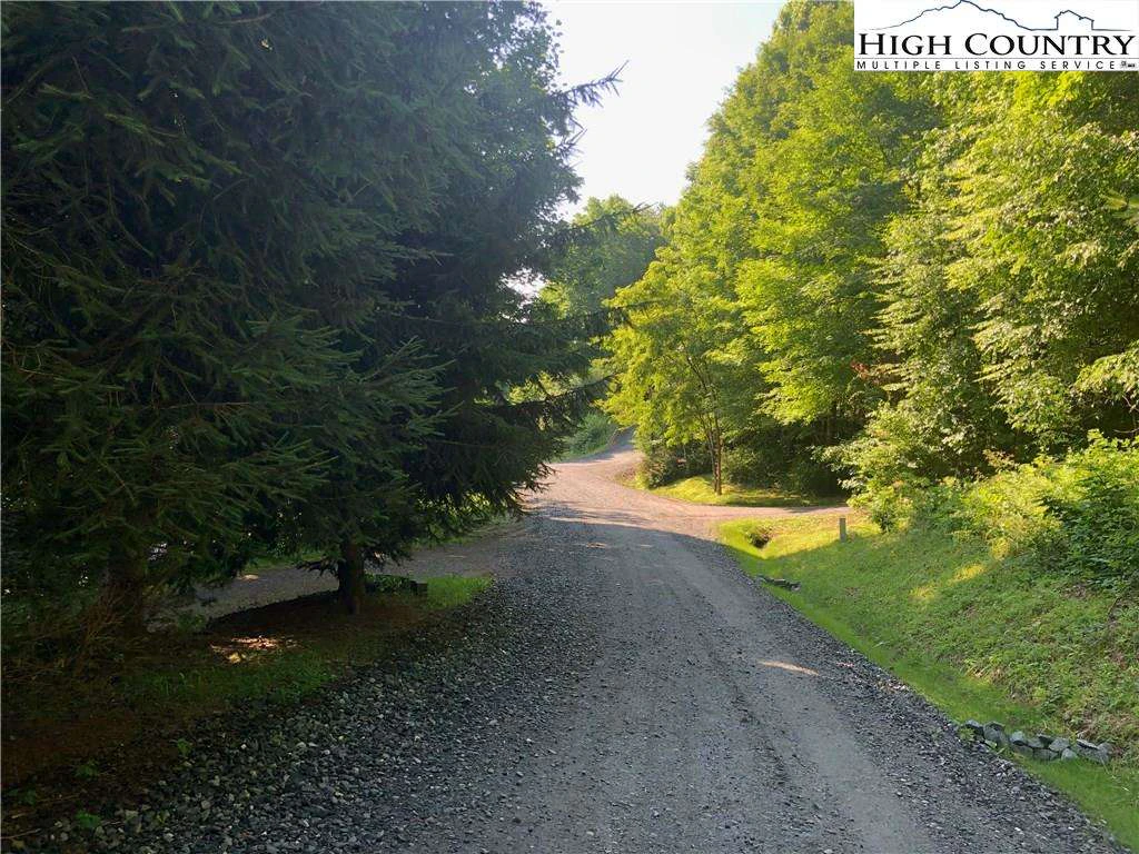 Image number 7 for the current listing