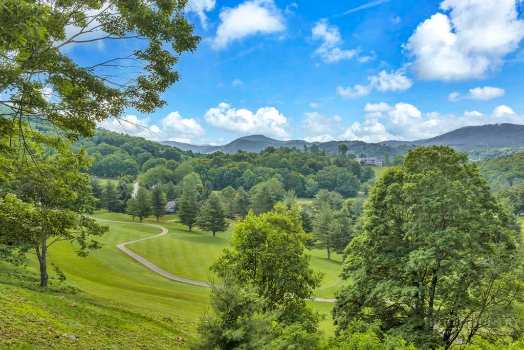 Image number 13 for the current listing