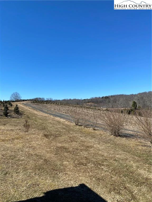 Image number 21 for the current listing