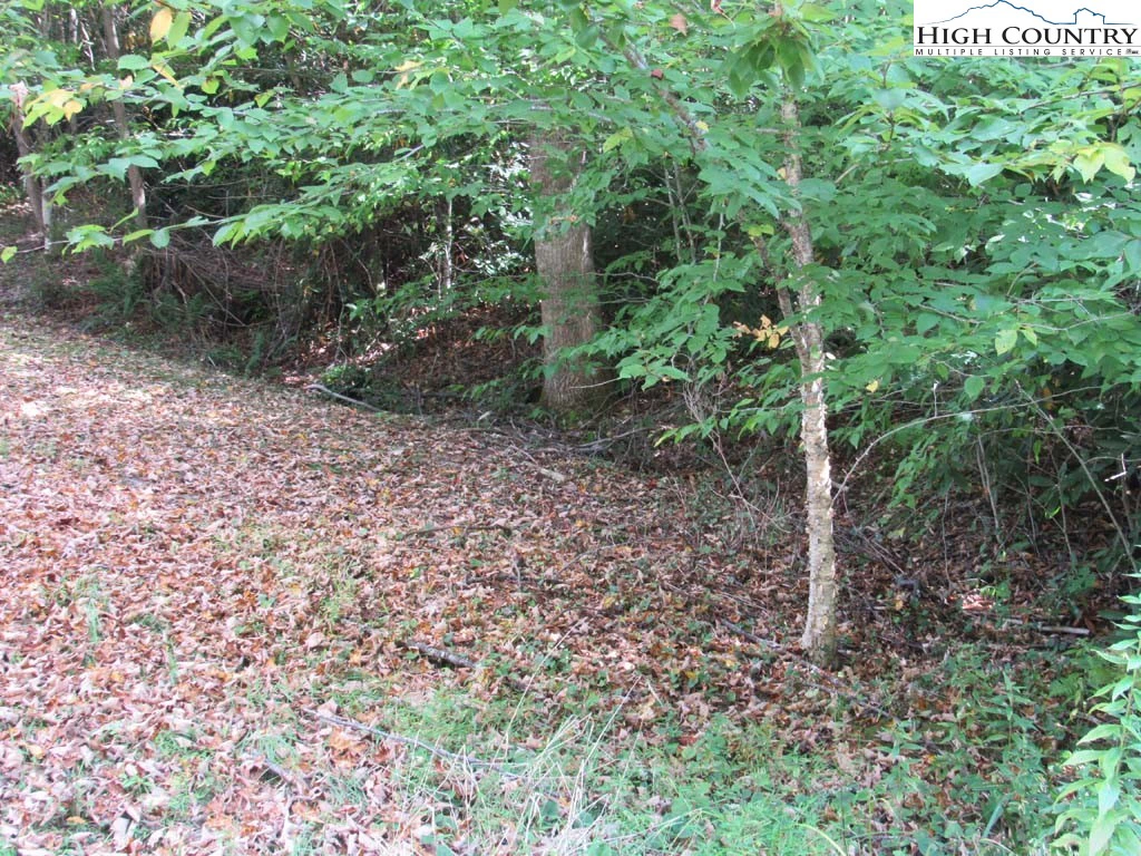 Image number 17 for the current listing