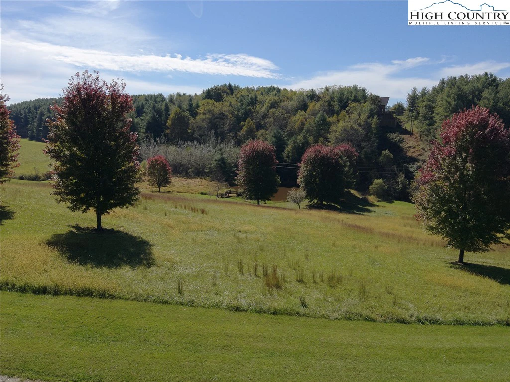Image number 1 for the current listing