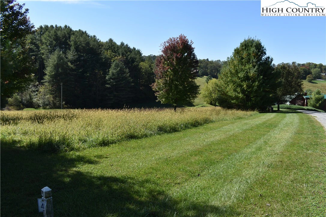 Image number 3 for the current listing