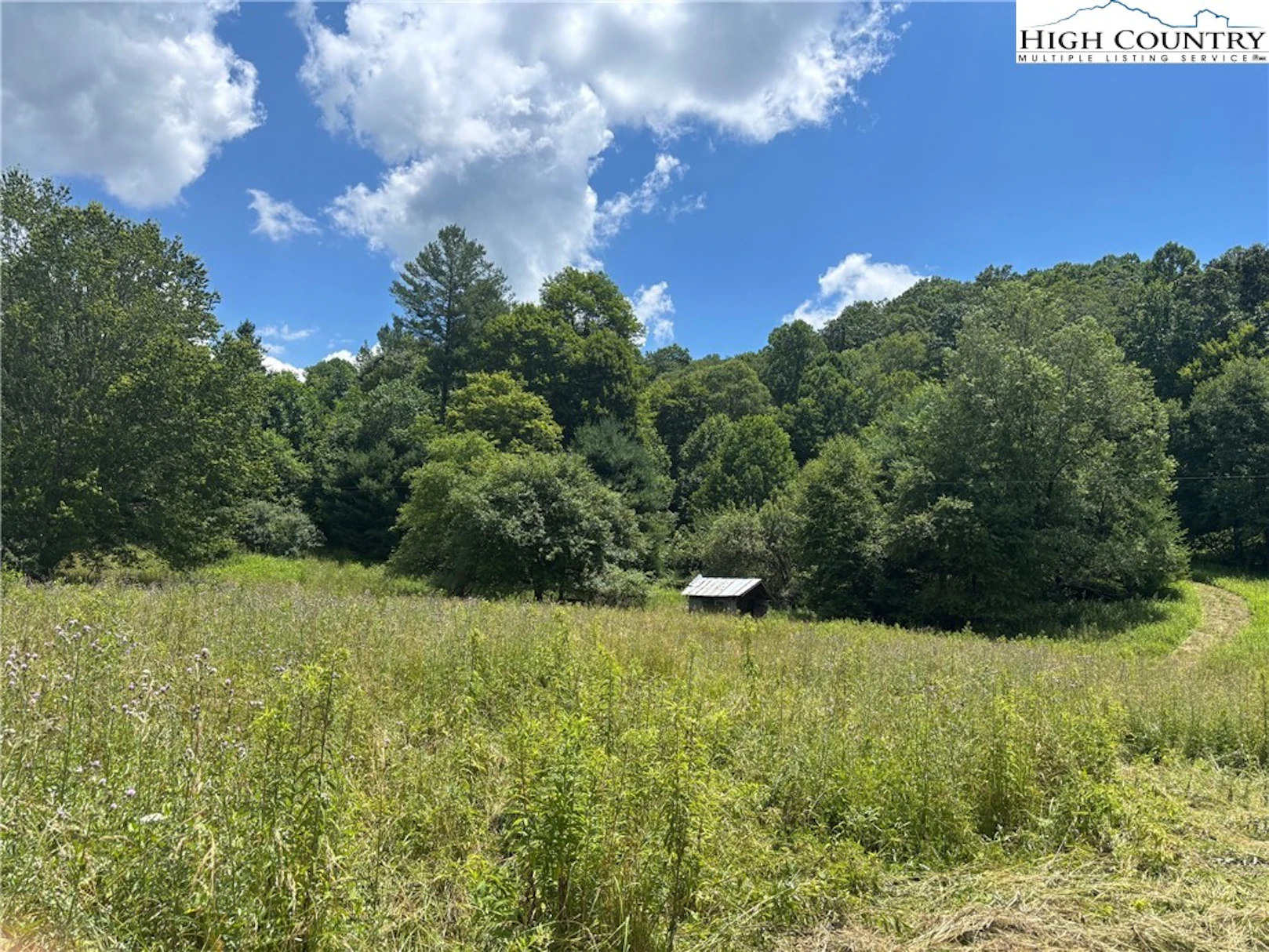Image number 1 for the current listing