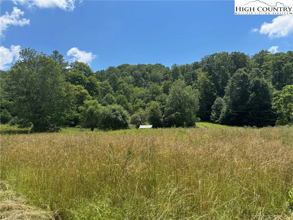 Image number 14 for the current listing