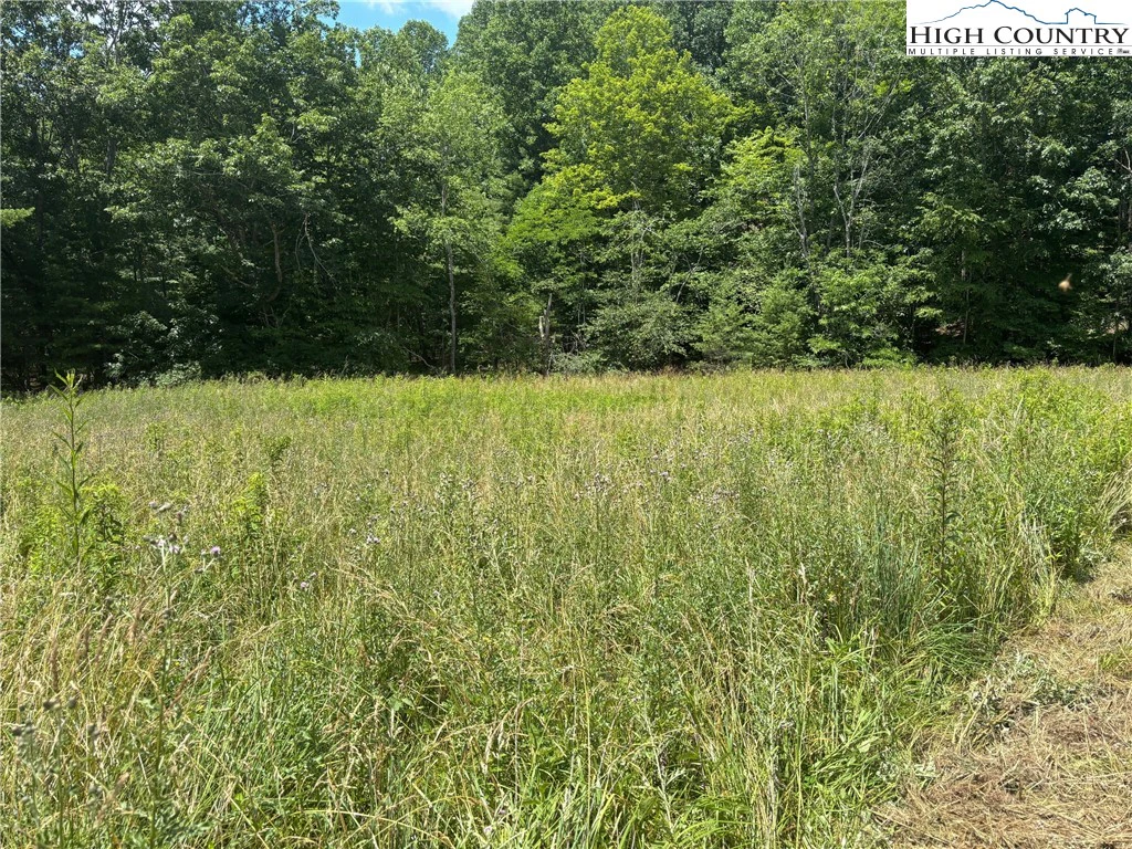 Image number 12 for the current listing