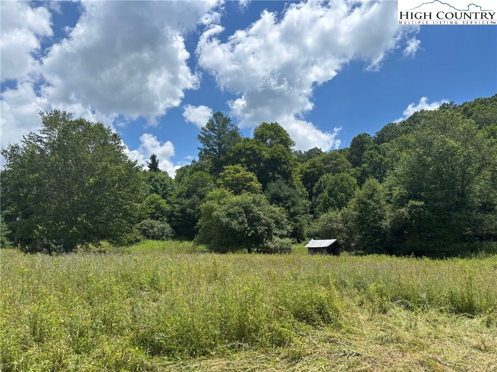 Image number 2 for the current listing