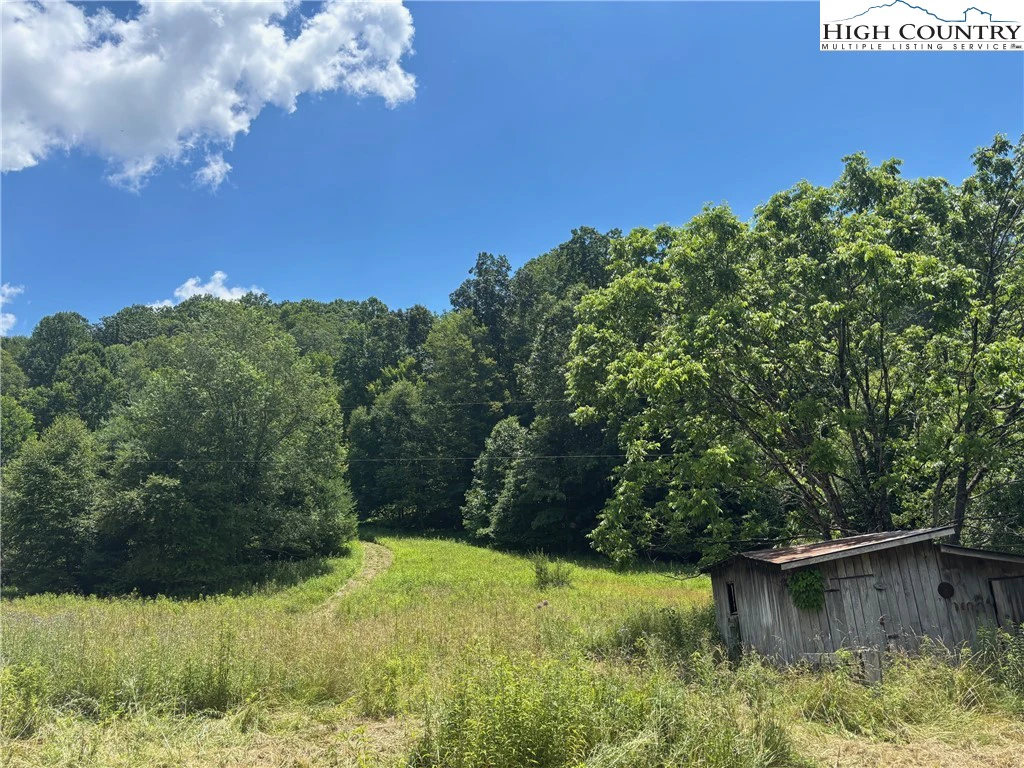 Image number 11 for the current listing