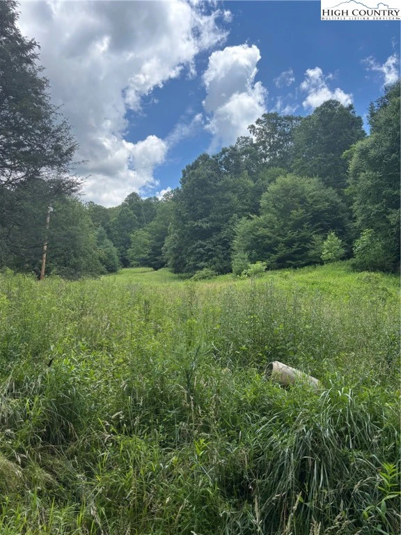 Image number 6 for the current listing