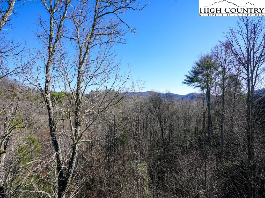 Image number 6 for the current listing