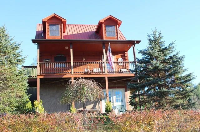 Image number 1 for the current listing