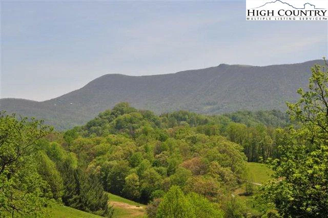 Image number 1 for the current listing