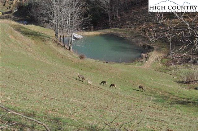 Image number 11 for the current listing