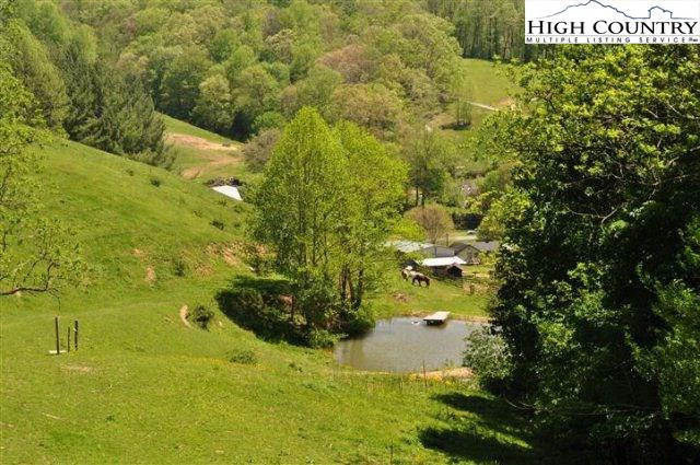 Image number 10 for the current listing