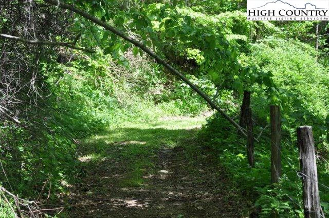 Image number 9 for the current listing