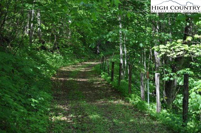 Image number 8 for the current listing