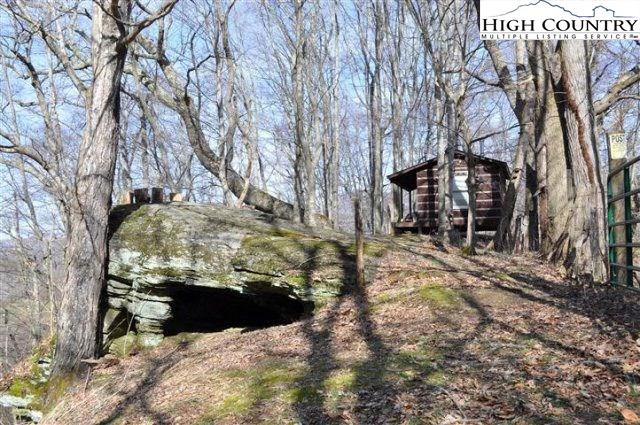 Image number 14 for the current listing