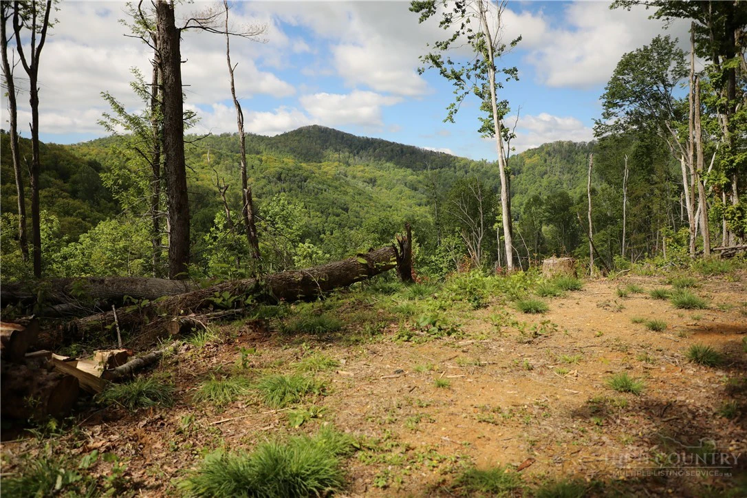 Image number 1 for the current listing