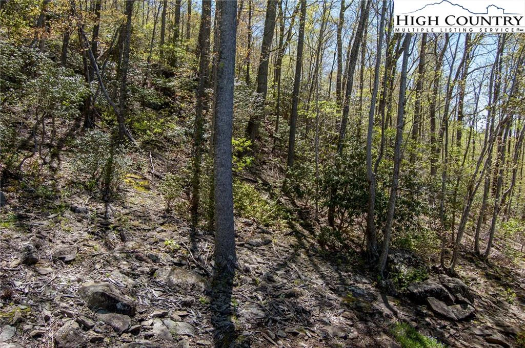 Image number 3 for the current listing