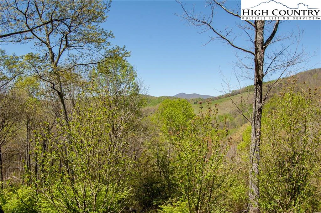 Image number 6 for the current listing