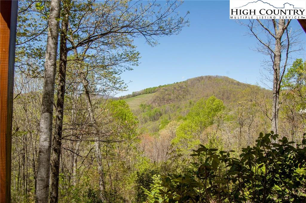 Image number 9 for the current listing