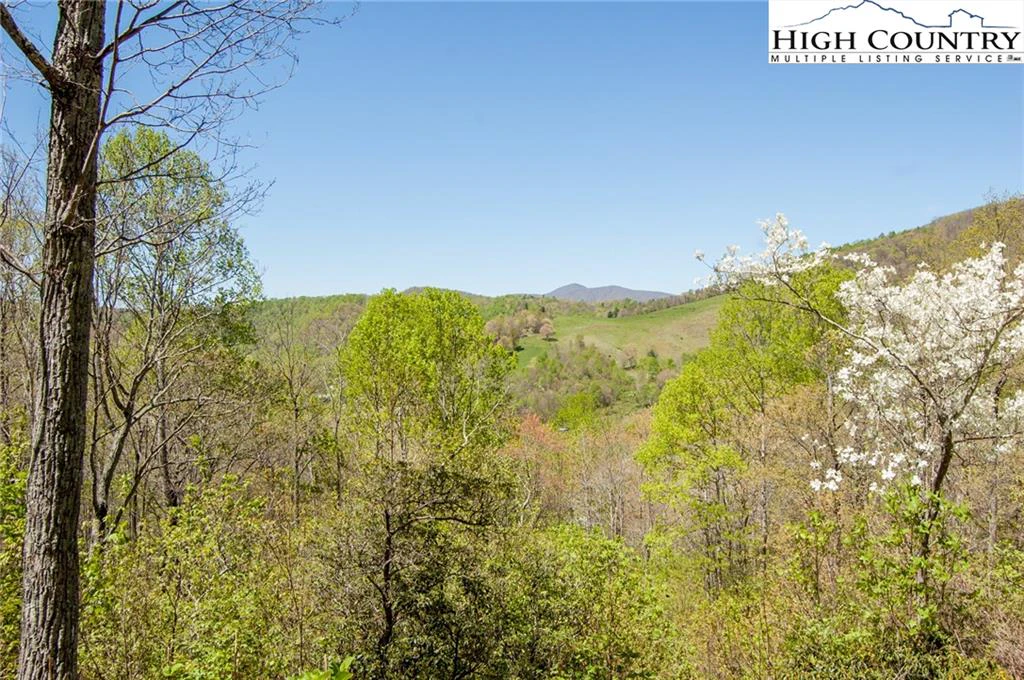 Image number 2 for the current listing