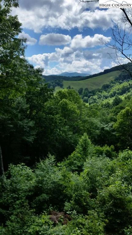 Image number 13 for the current listing