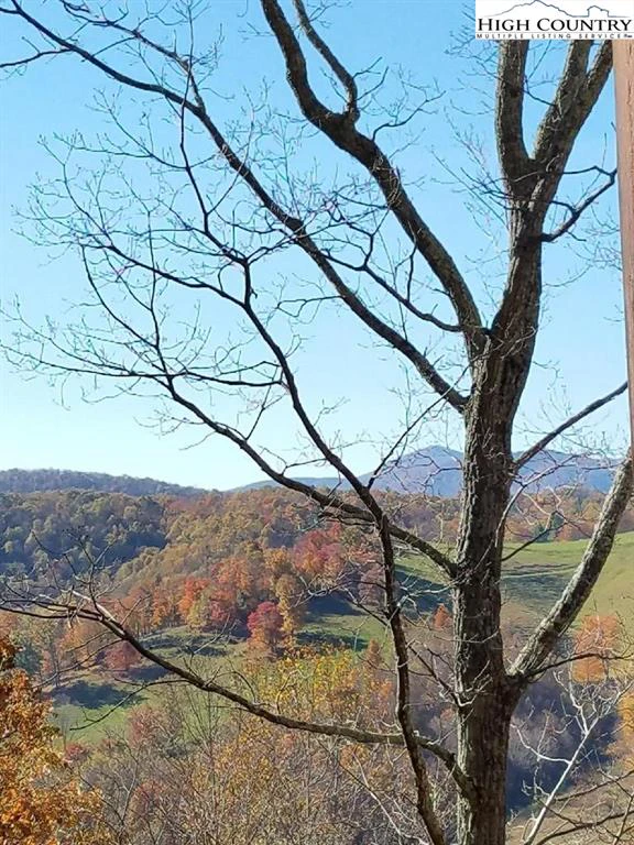 Image number 14 for the current listing