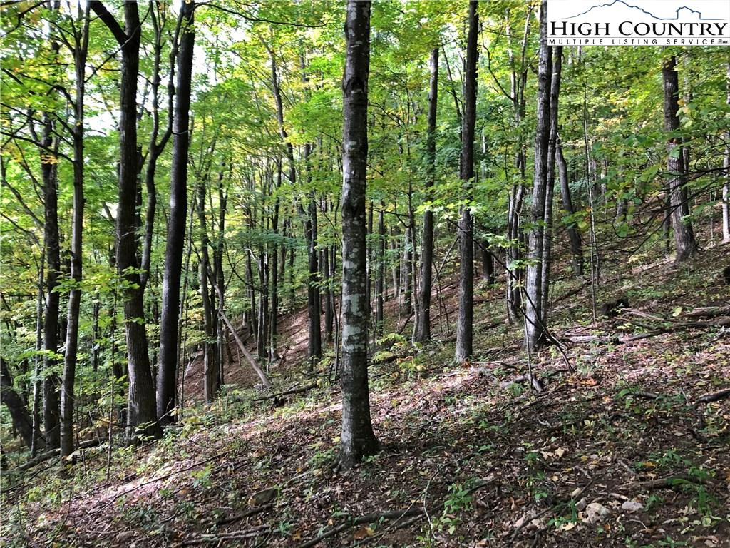 Image number 6 for the current listing