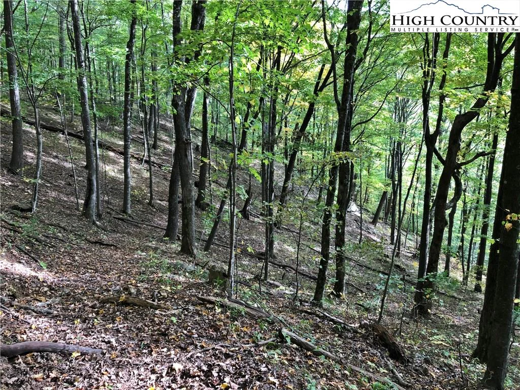 Image number 8 for the current listing