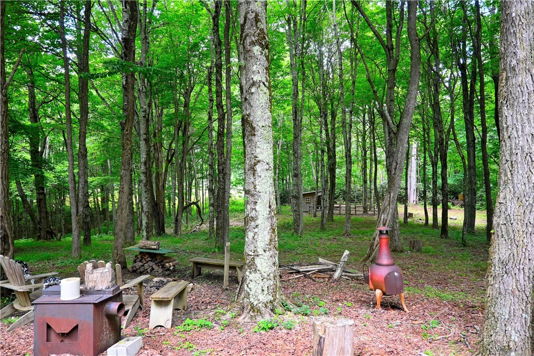 Image number 5 for the current listing