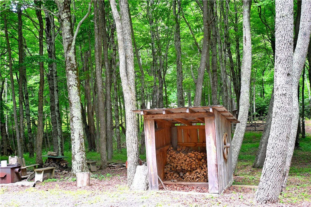 Image number 6 for the current listing