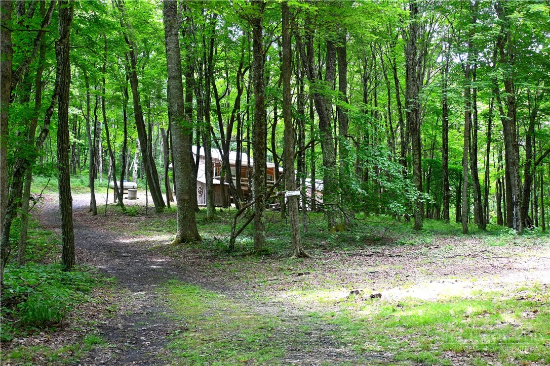 Image number 7 for the current listing