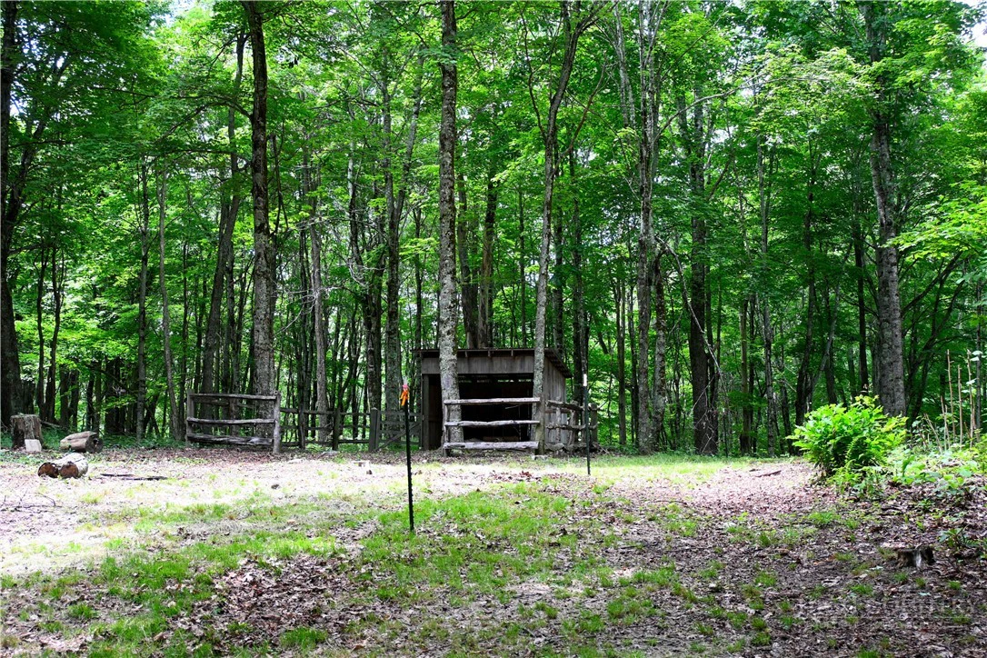 Image number 8 for the current listing