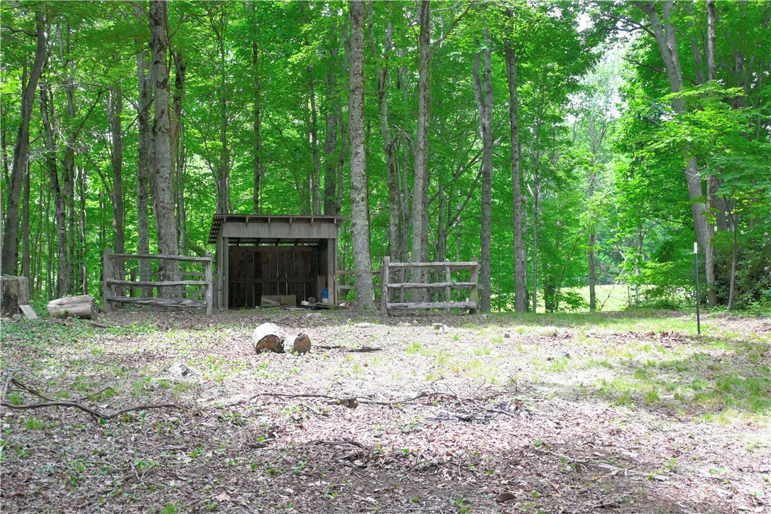 Image number 9 for the current listing