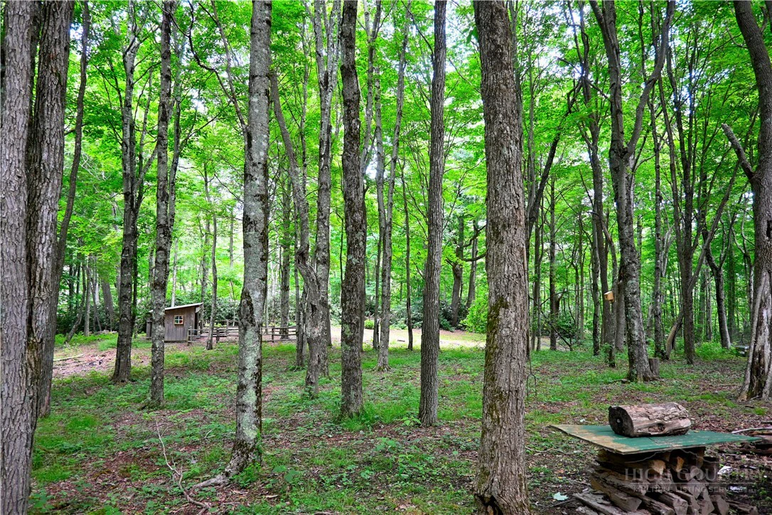 Image number 11 for the current listing