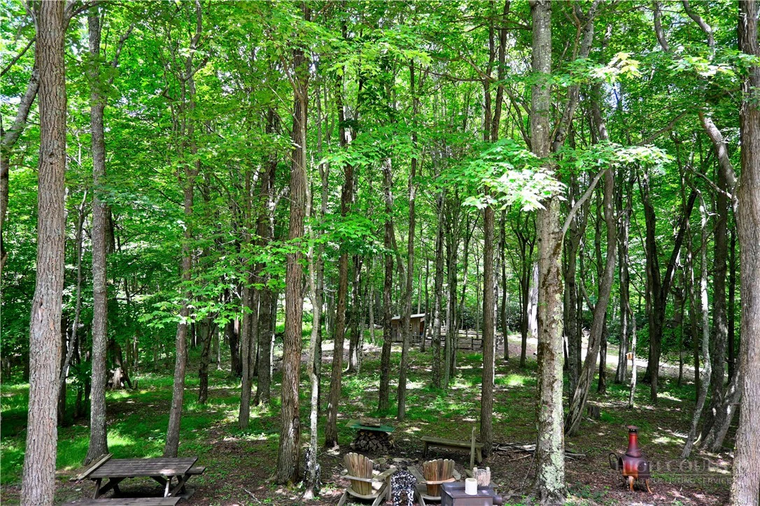 Image number 15 for the current listing
